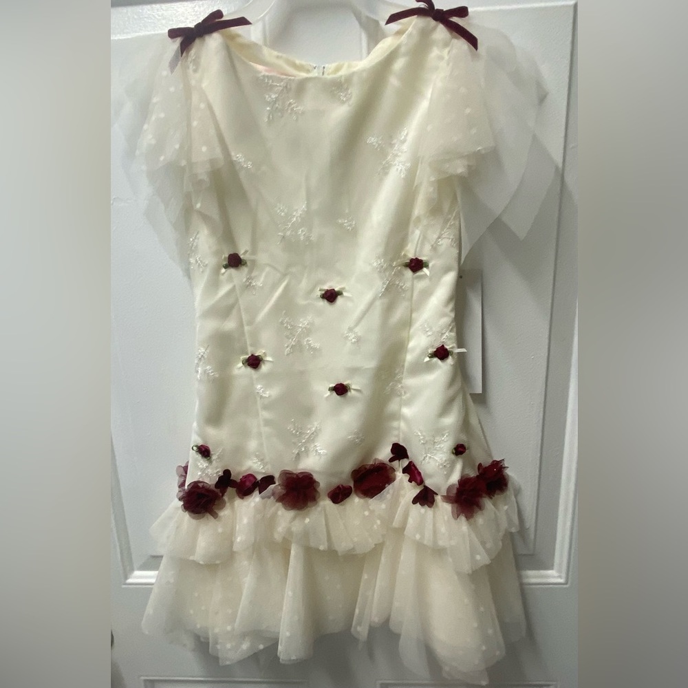 Fancy Girls Cream Lace Dress with Roses Size 6 NWT Biscotti